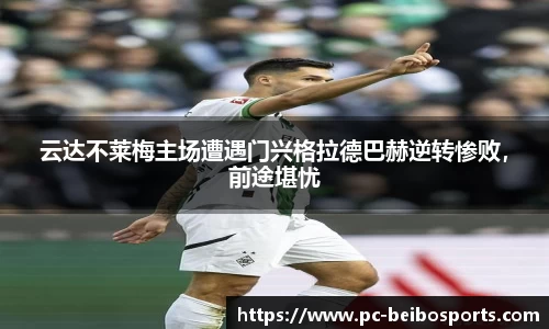 贝博体育官网