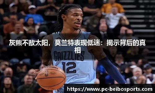 贝博体育官网