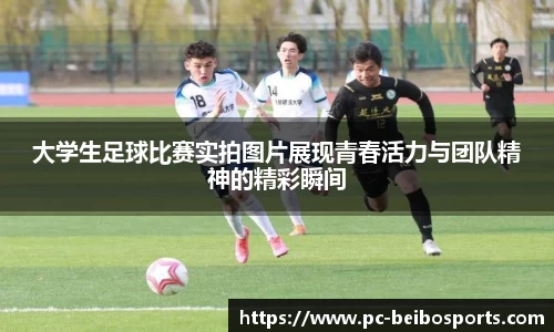 BB体育官方网站