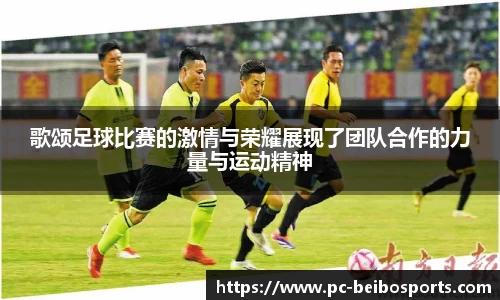 贝博bb体育