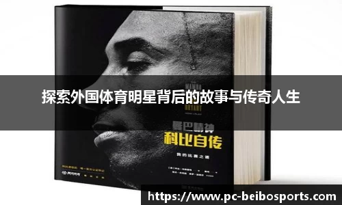 贝博体育网站