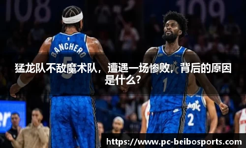 贝博体育网站