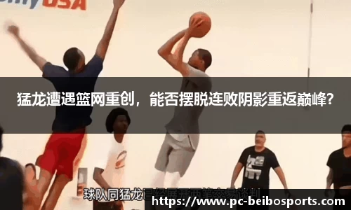贝博体育官网