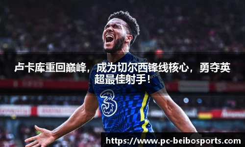 贝博体育网站