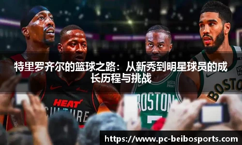 贝博体育网站