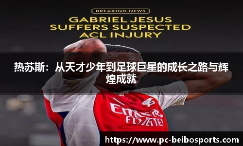 贝博bb体育